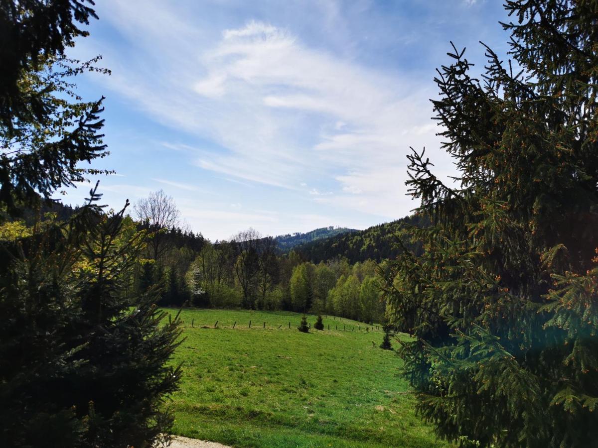 Wojtowka 16 Holiday home *