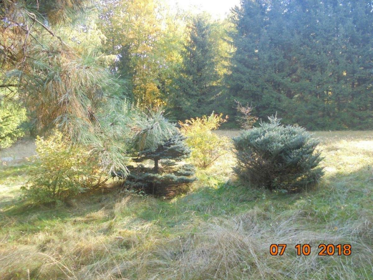 Wojtowka 16 Ladek-Zdroj