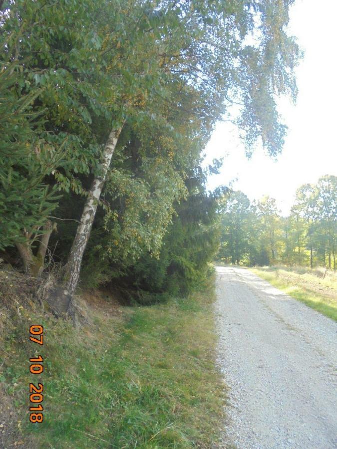 Wojtowka 16 Holiday home Ladek-Zdroj